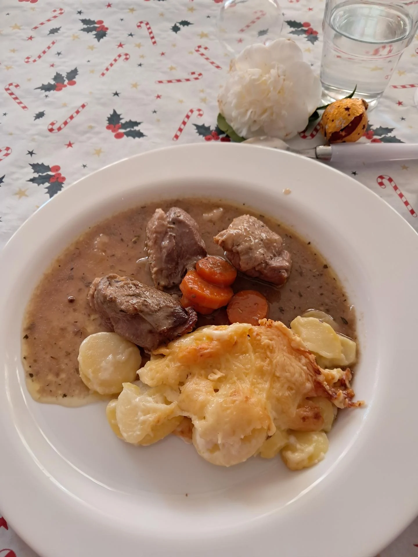 Canard en sauce et gratin dauphinois