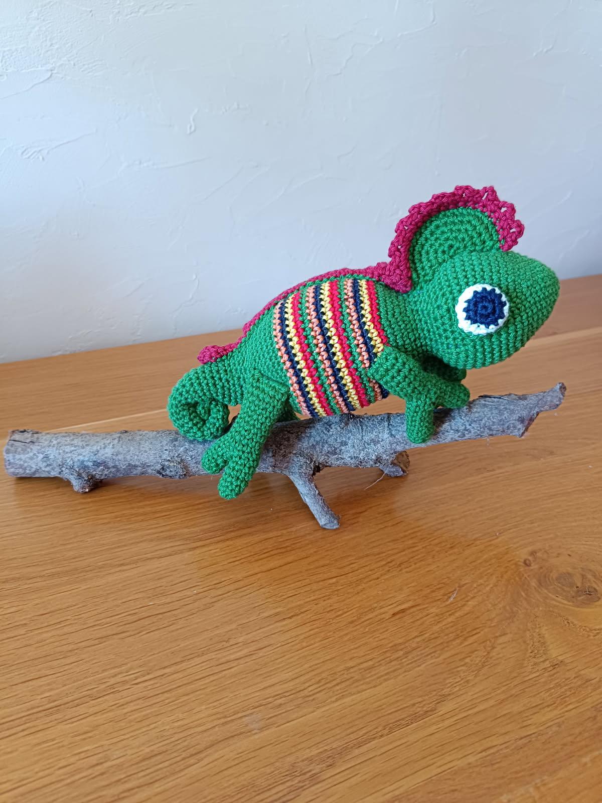 Un magnifique caméléon